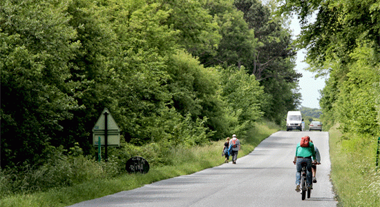 driving-rule-changes-2015-france