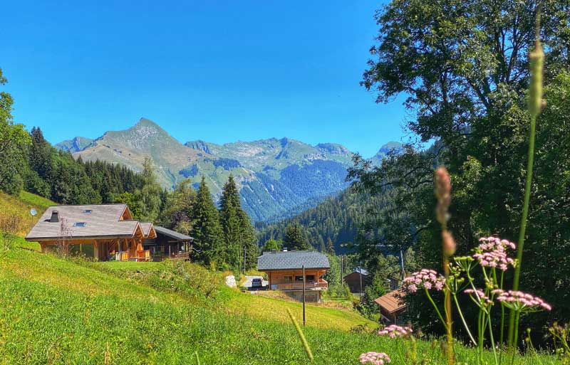 Wooden house on a lush green mountain in the French Alps