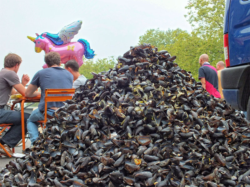 lile-braderie-moules-et-frites-contest