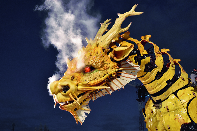 LongMa LaMachine 