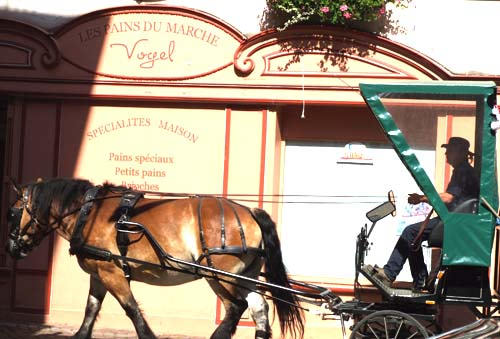 Reycling and rubbish collection France