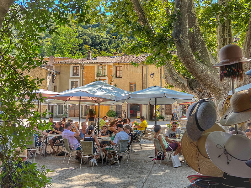 Pretty town square with France's biggest plane tree St-Guilhem-le-Desert