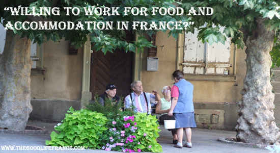 volunteer in france